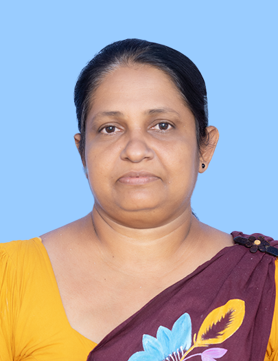 Early Childhood Development Centers